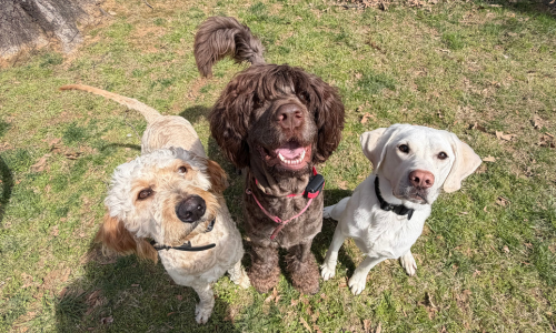 2-Apr-02-2026-05-15-51-6338-PM 2-Apr-02-2026-05-15-51-6338-PM