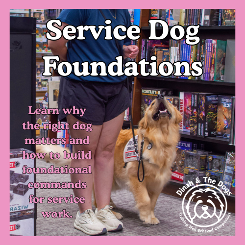 Service Dog Foundations image