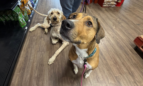 3-Apr-02-2026-05-15-51-5427-PM