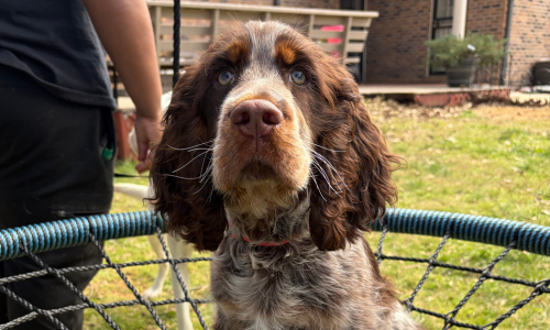 4-Apr-02-2026-05-15-51-5678-PM 4-Apr-02-2026-05-15-51-5678-PM