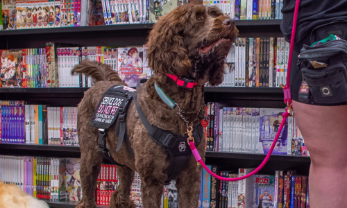 5-Jun-18-2025-03-46-32-0666-AM 5-Jun-18-2025-03-46-32-0666-AM