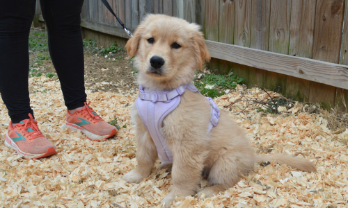 6-Apr-02-2026-05-15-51-2911-PM 6-Apr-02-2026-05-15-51-2911-PM