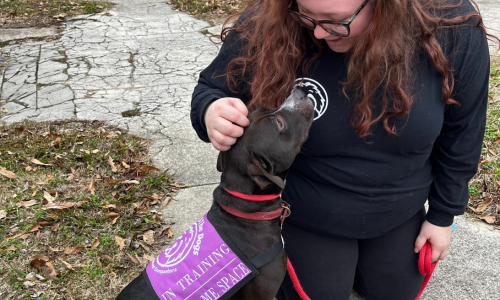 Hildi 500 by 300 Hildi 500 by 300