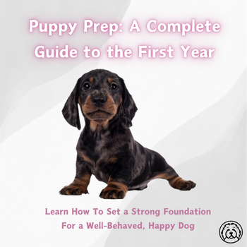 Puppy Prep: A Complete Guide to the First Year image