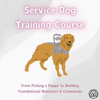 Service Dog Training Course image